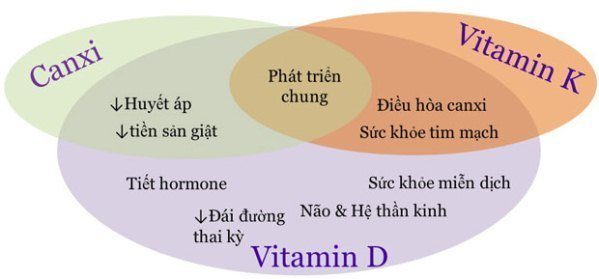 canxi vitamin