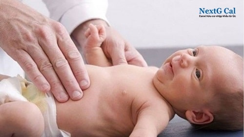 Trẻ sơ sinh thiếu canxi có nguy hiểm không