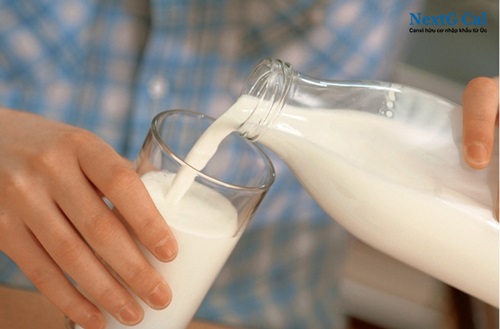Sữa bổ sung canxi cho người trưởng thành