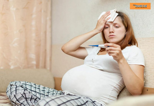 Phụ nữ mang thai bị sốt xuất huyết