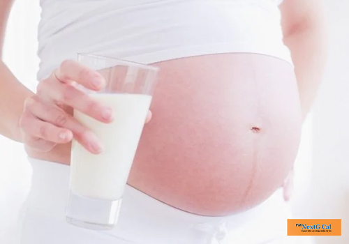 Có thai uống sữa tươi không đường