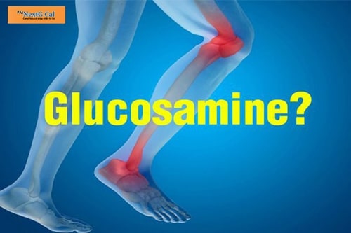 canxi glucosamine