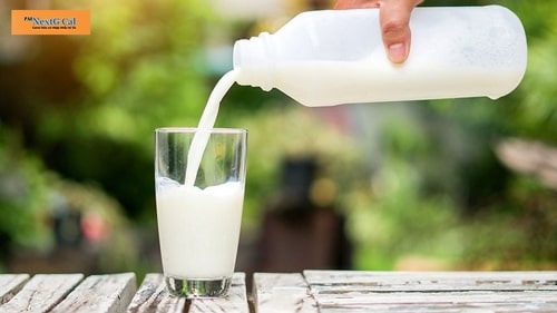 sinh xong uống sữa tươi không đường được không