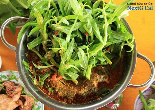Can pregnant women eat coriander?