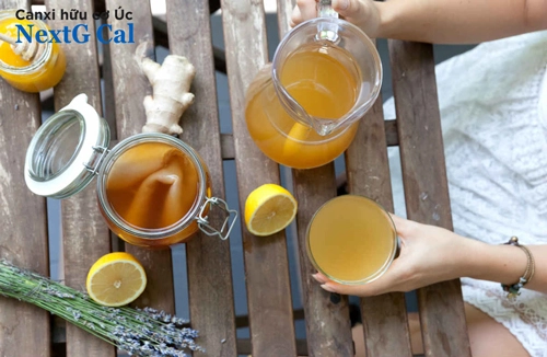 có thai nên uống Kombucha không