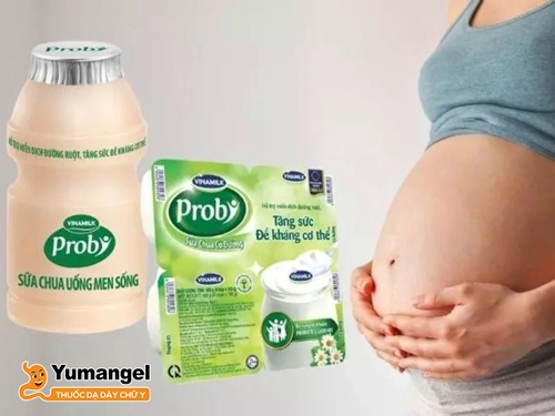 bầu uống sữa probi được không