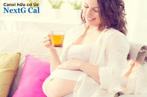 bà bầu uống trà kombucha được không