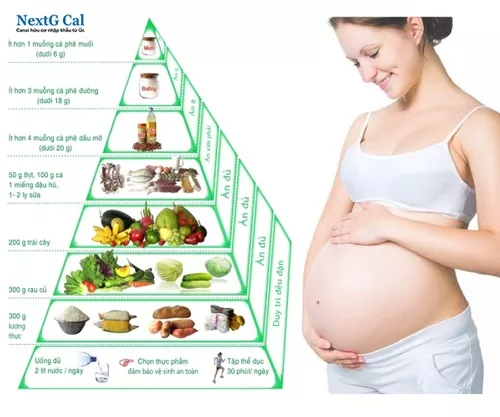 Chế độ dinh dưỡng 3 tháng cuối thai kỳ